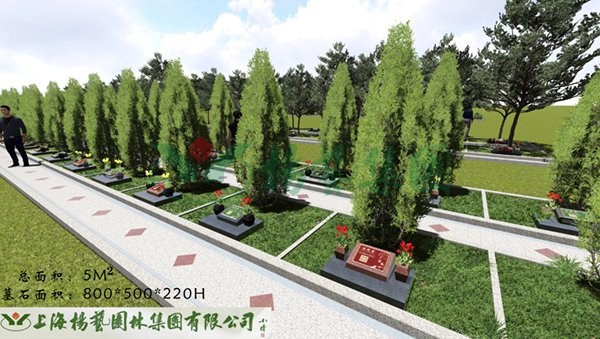 F88星宝(中国集团)官方网站