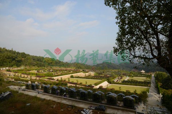 F88星宝(中国集团)官方网站