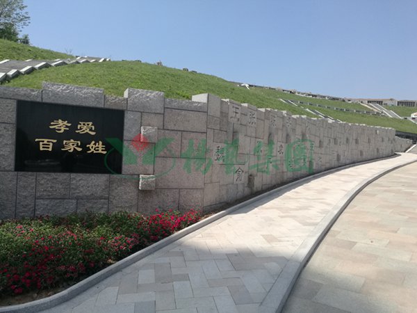F88星宝(中国集团)官方网站