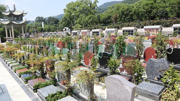F88星宝(中国集团)官方网站