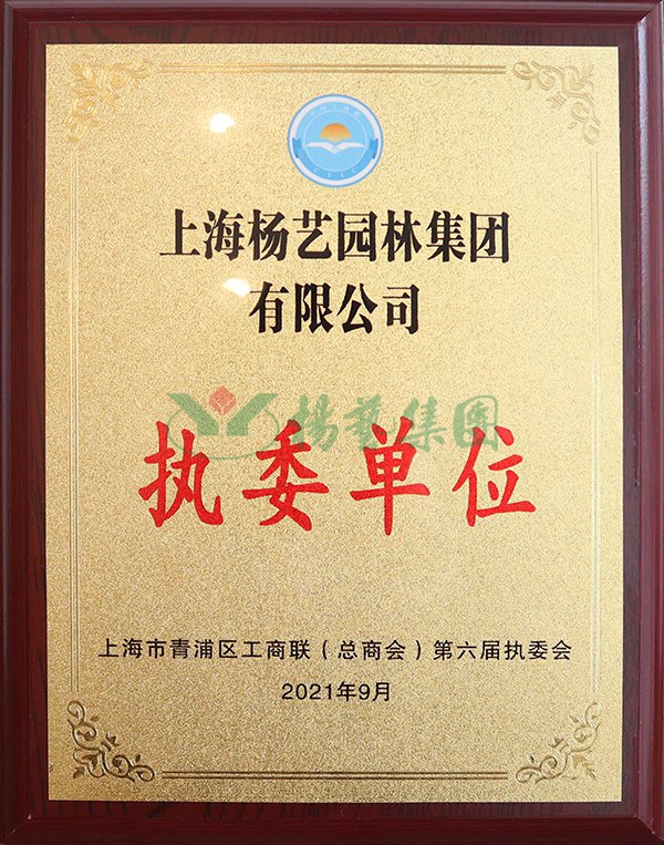 F88星宝(中国集团)官方网站