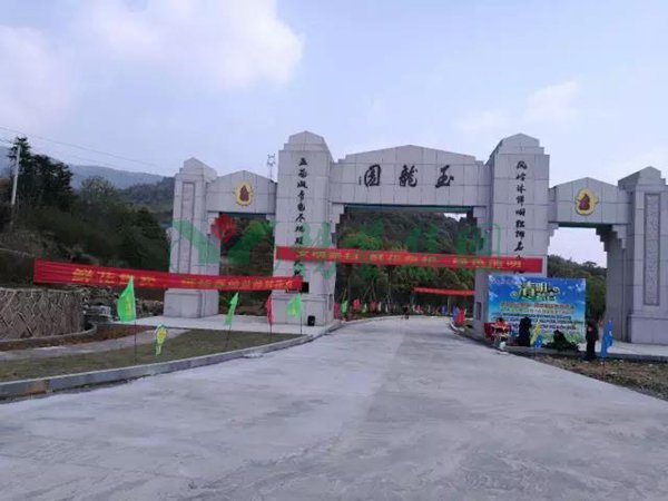 F88星宝(中国集团)官方网站