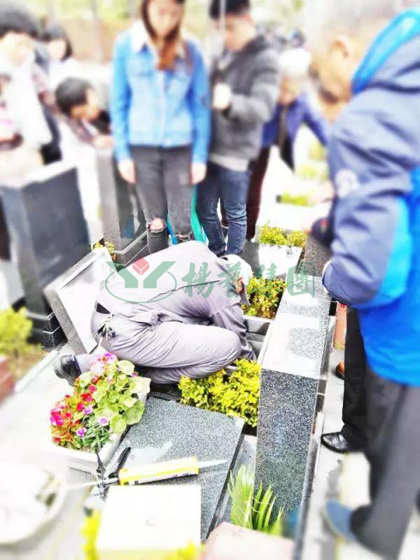 F88星宝(中国集团)官方网站