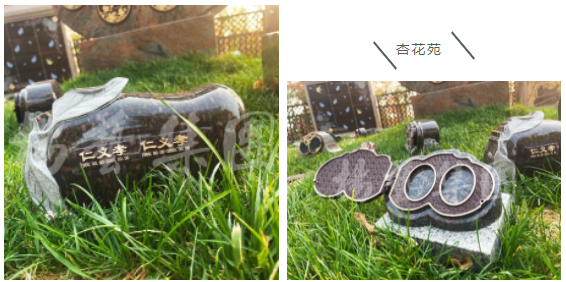 F88星宝(中国集团)官方网站