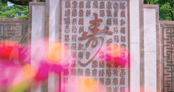 F88星宝(中国集团)官方网站