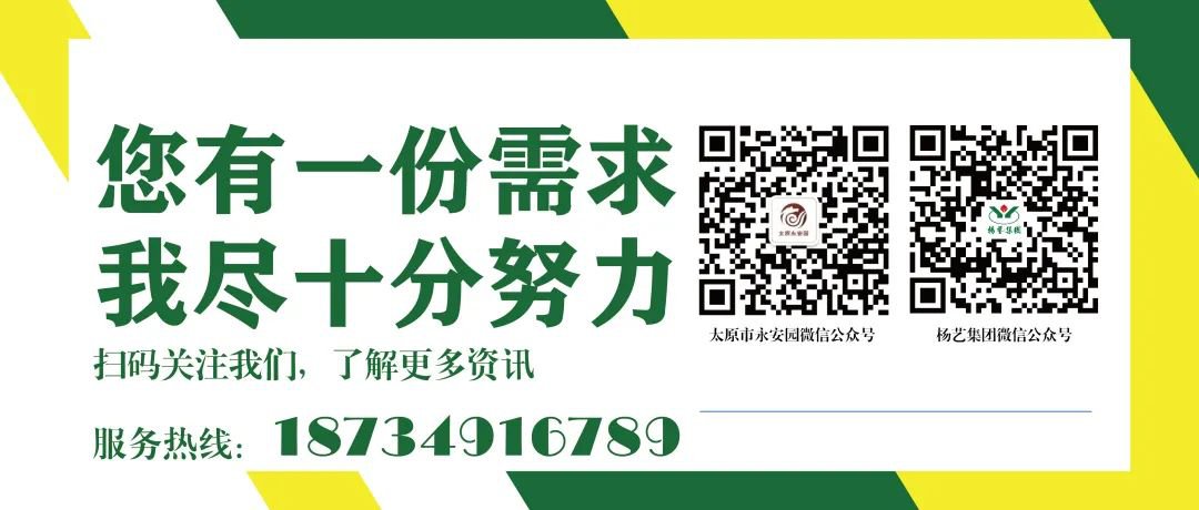 F88星宝(中国集团)官方网站