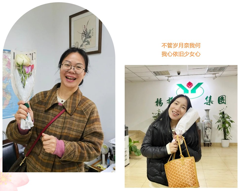 1-24030913114E91 F88星宝(中国集团)官方网站