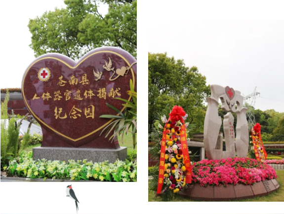 F88星宝(中国集团)官方网站