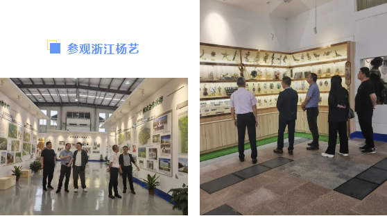 F88星宝(中国集团)官方网站