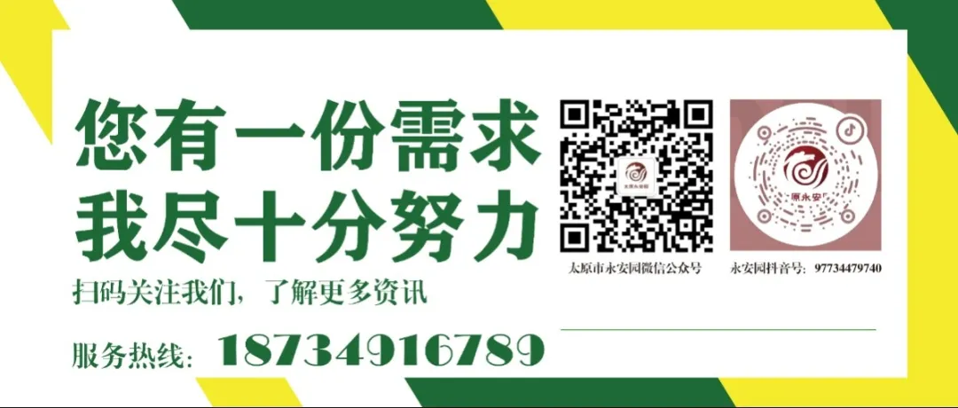 F88星宝(中国集团)官方网站