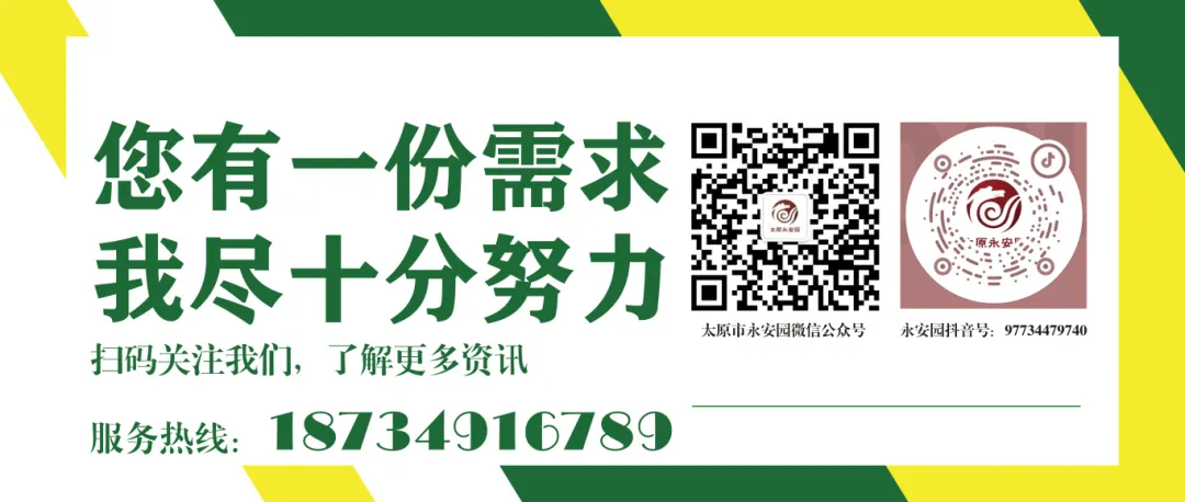 F88星宝(中国集团)官方网站