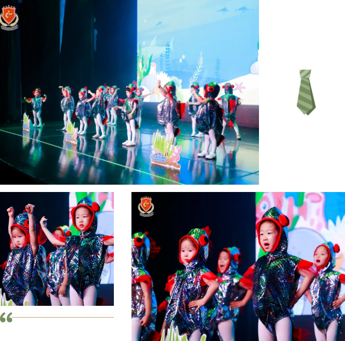 1-240G5104932M6 F88星宝(中国集团)官方网站