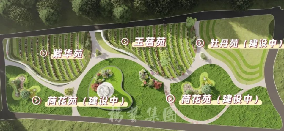 1-240H9142945113 F88星宝(中国集团)官方网站