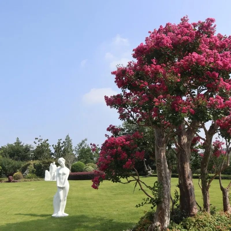 F88星宝(中国集团)官方网站