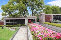 归于天然，泽被后世：解读现代生态葬及其创新趋向