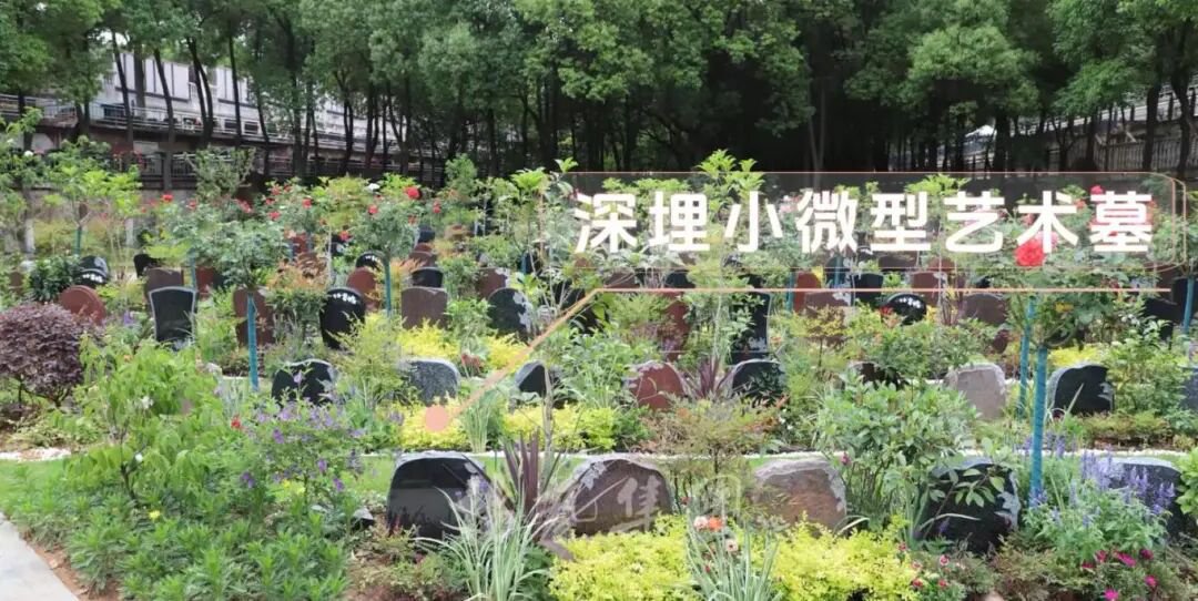 F88星宝(中国集团)官方网站