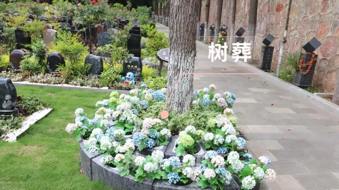 F88星宝(中国集团)官方网站